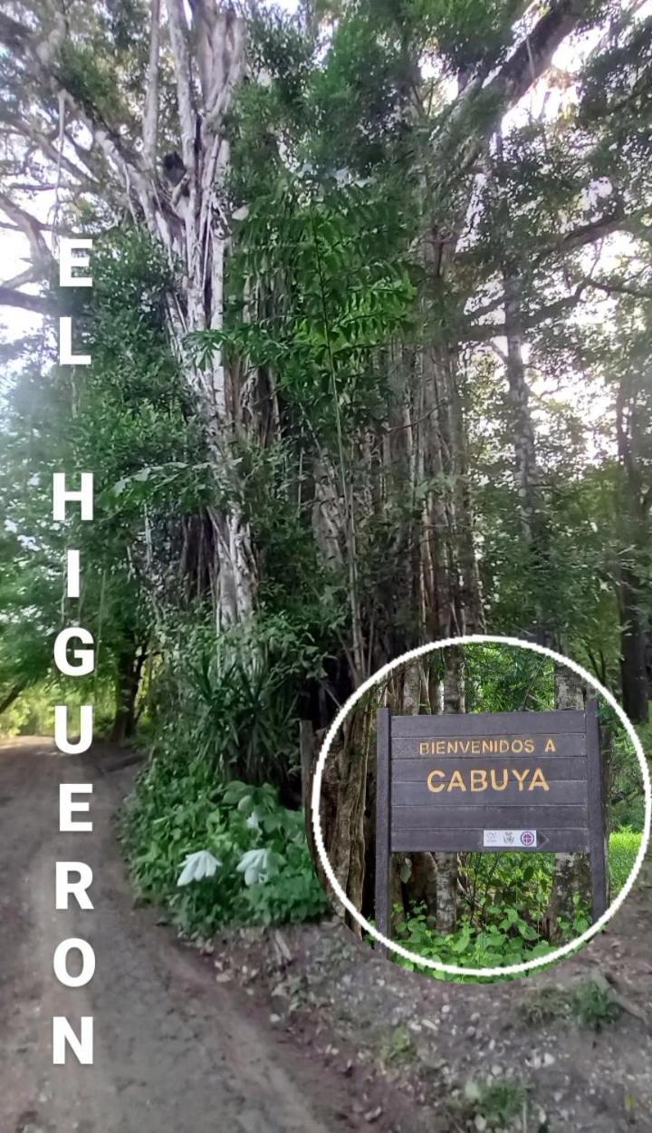 Luz De Estrella Studios Cabuya  外观 照片