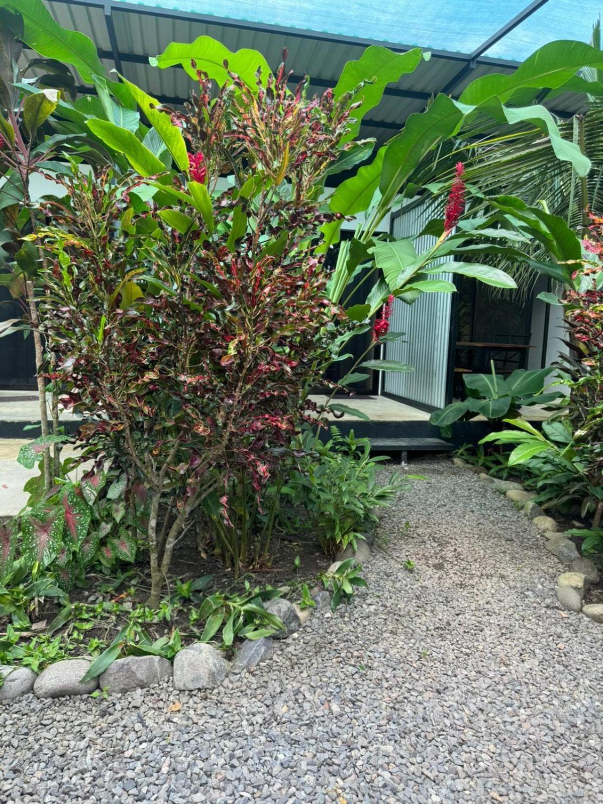 Luz De Estrella Studios Cabuya  外观 照片